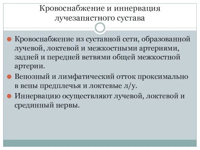 Кровоснабжение и иннервация лучезапястного сустава Кровоснабжение из суставной сети, образованной