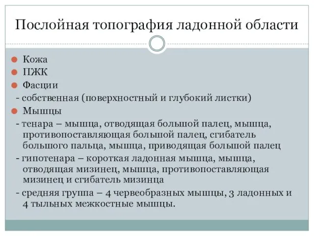 Послойная топография ладонной области Кожа ПЖК Фасции - собственная (поверхностный