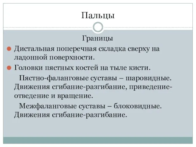 Пальцы Границы Дистальная поперечная складка сверху на ладонной поверхности. Головки