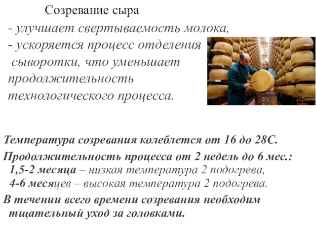 Созревание сыра Температура созревания колеблется от 16 до 28С. Продолжительность