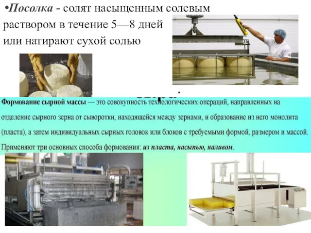 Посолка - солят насыщенным солевым раствором в течение 5—8 дней или натирают сухой солью .