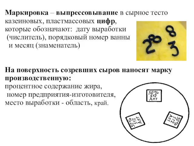 Маркировка – выпрессовывание в сырное тесто казеиновых, пластмассовых цифр, которые