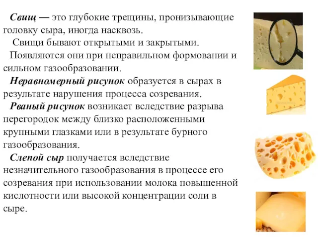 Свищ — это глубокие трещины, пронизывающие головку сыра, иногда насквозь.