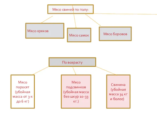 Мясо свиней по полу: Мясо хряков Мясо самок Мясо боровов