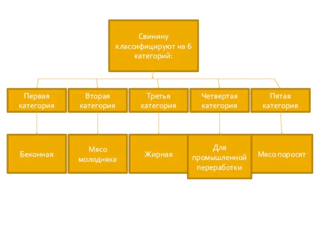 Свинину классифицируют на 6 категорий: Первая категория Четвертая категория Вторая