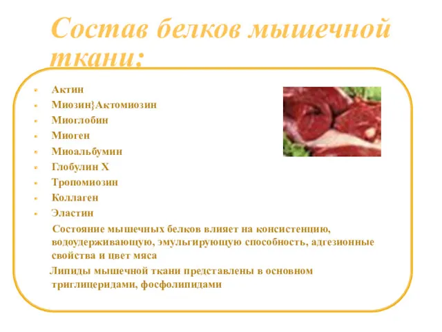 Состав белков мышечной ткани: Актин Миозин}Актомиозин Миоглобин Миоген Миоальбумин Глобулин