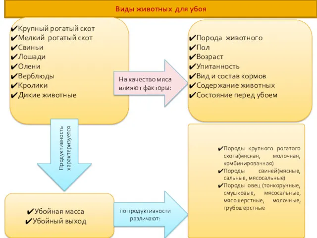 Виды животных для убоя Крупный рогатый скот Мелкий рогатый скот