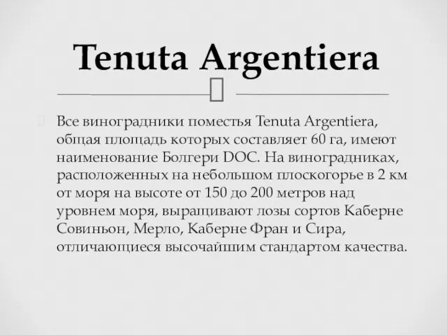 Tenuta Argentiera Все виноградники поместья Tenuta Argentiera, общая площадь которых