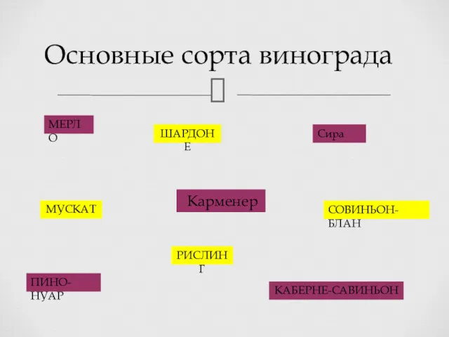 Основные сорта винограда ШАРДОНЕ Сира КАБЕРНЕ-САВИНЬОН ПИНО-НУАР СОВИНЬОН-БЛАН МЕРЛО МУСКАТ РИСЛИНГ Карменер