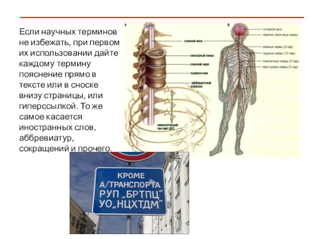 Если научных терминов не избежать, при первом их использовании дайте