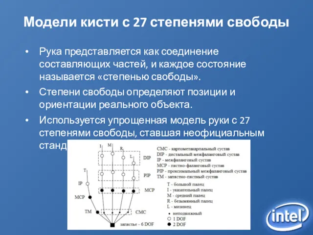 Модели кисти с 27 степенями свободы Рука представляется как соединение