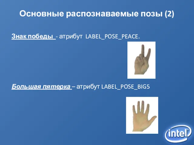 Основные распознаваемые позы (2) Знак победы - атрибут LABEL_POSE_PEACE. Большая пятерка – атрибут LABEL_POSE_BIG5