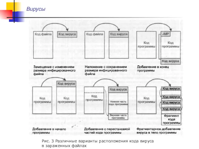 Рис. 3 Различные варианты расположения кода вируса в зараженных файлах Вирусы