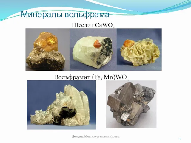 Минералы вольфрама Лекция: Металлургия вольфрама Шеелит CaWO4 Вольфрамит (Fe, Mn)WO4