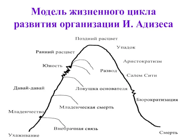 Модель жизненного цикла развития организации И. Адизеса
