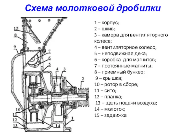 Схема молотковой дробилки 1 – корпус; 2 – шкив; 3 – камера для