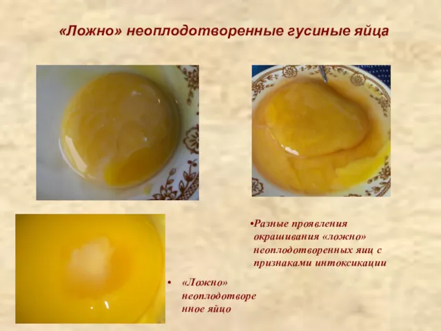«Ложно» неоплодотворенные гусиные яйца «Ложно» неоплодотворенное яйцо Разные проявления окрашивания «ложно» неоплодотворенных яиц с признаками интоксикации