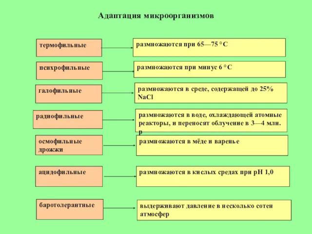 Адаптация микроорганизмов