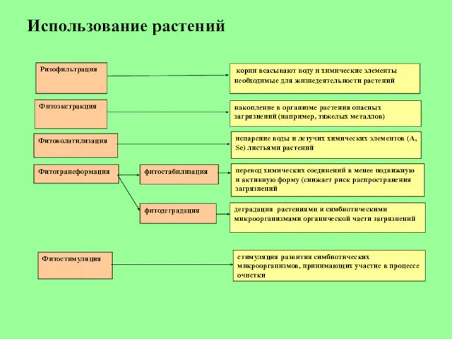 Использование растений