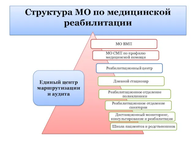 Структура МО по медицинской реабилитации Единый центр маршрутизации и аудита