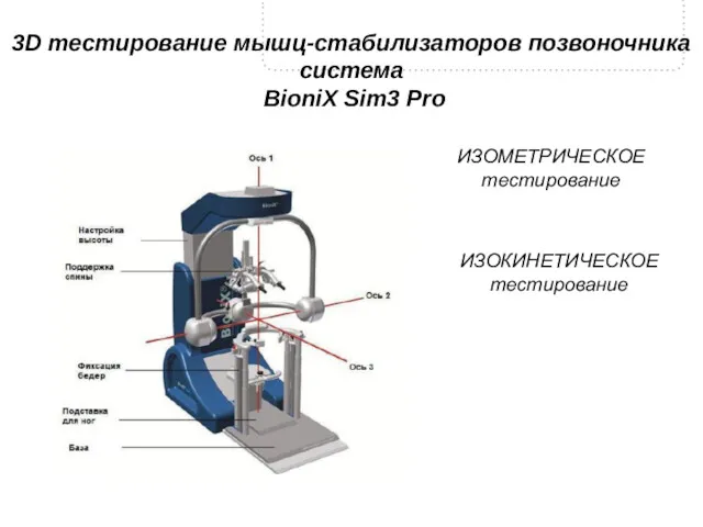 3D тестирование мышц-стабилизаторов позвоночника система BioniX Sim3 Pro ИЗОМЕТРИЧЕСКОЕ тестирование ИЗОКИНЕТИЧЕСКОЕ тестирование