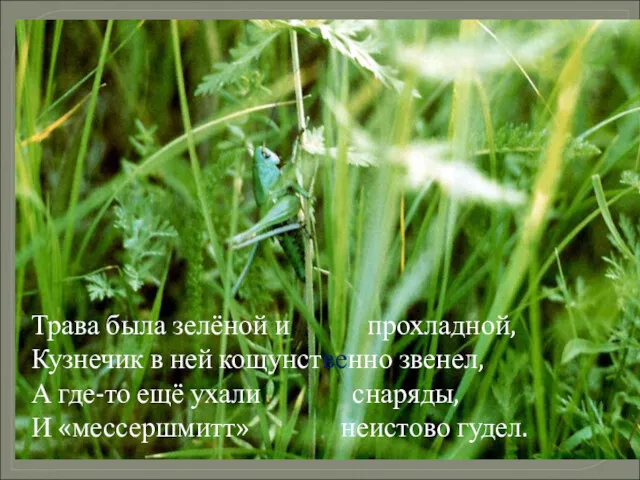 Трава была зелёной и прохладной, Кузнечик в ней кощунственно звенел, А где-то ещё