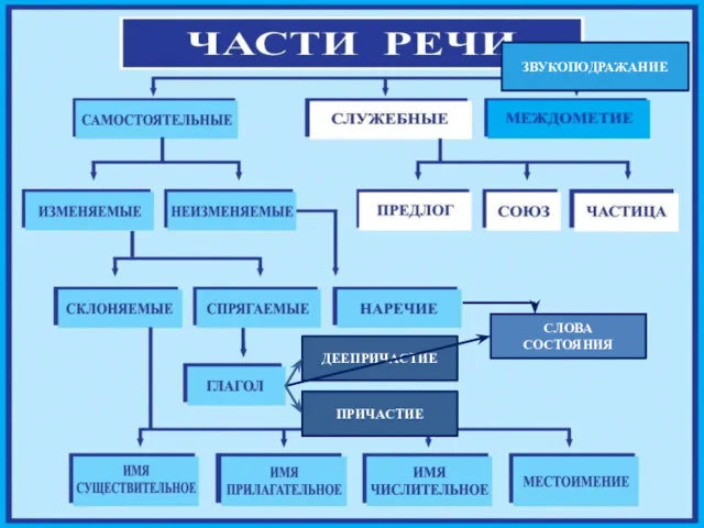 ЗВУКОПОДРАЖАНИЕ ДЕЕПРИЧАСТИЕ ПРИЧАСТИЕ СЛОВА СОСТОЯНИЯ