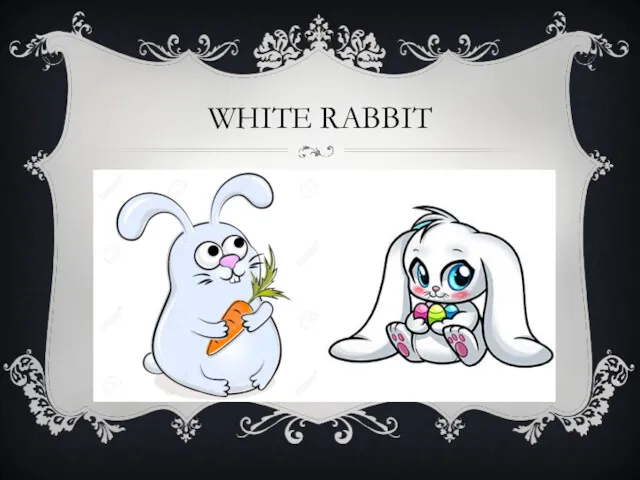 WHITE RABBIT