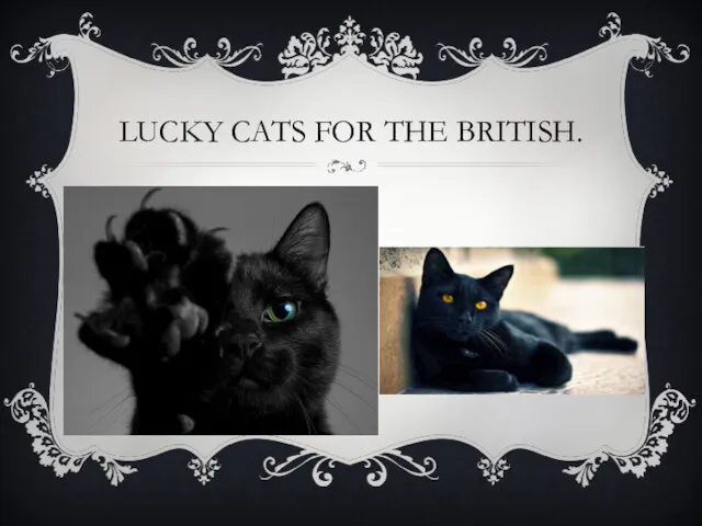 LUCKY CATS FOR THE BRITISH.