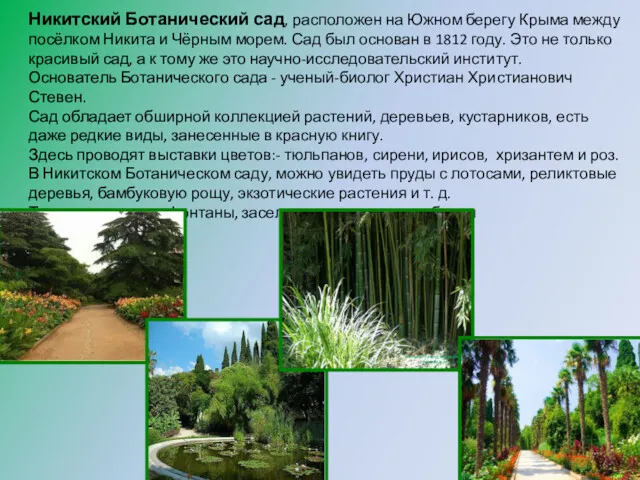 Никитский Ботанический сад, расположен на Южном берегу Крыма между посёлком Никита и Чёрным