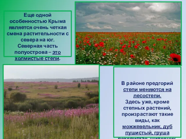 Еще одной особенностью Крыма является очень четкая смена растительности с севера на юг.