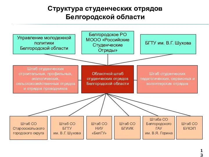 Структура студенческих отрядов Белгородской области