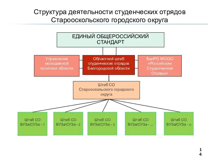 Структура деятельности студенческих отрядов Старооскольского городского округа