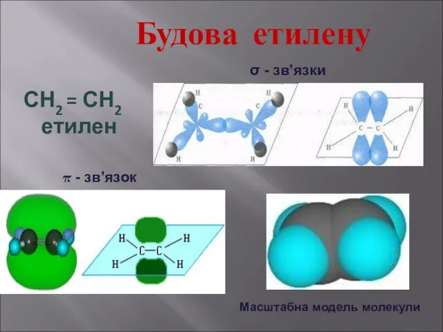 Будова етилену СН2 = СН2 етилен σ - зв’язки π - зв’язок Масштабна модель молекули