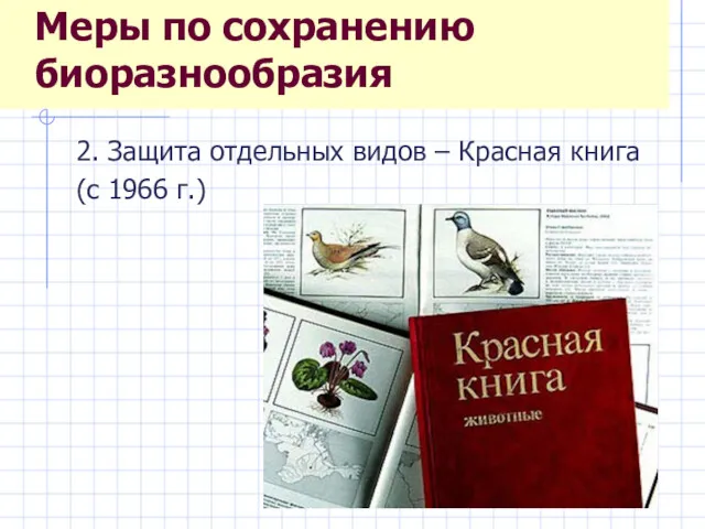 2. Защита отдельных видов – Красная книга (с 1966 г.) Меры по сохранению биоразнообразия