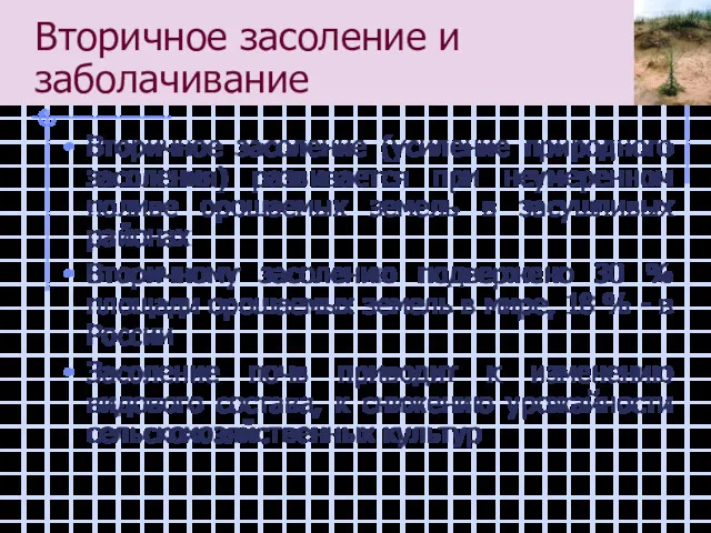 Вторичное засоление и заболачивание Вторичное засоление (усиление природного засоления) развивается