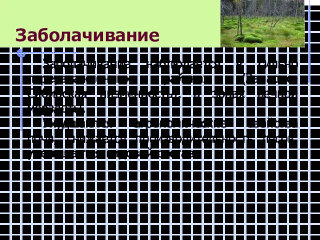 Заболачивание Заболачивание наблюдается в сильно переувлажненных районах (Западно-Сибирская низменность), в