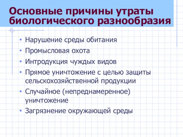 Основные причины утраты биологического разнообразия Нарушение среды обитания Промысловая охота