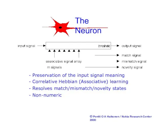 The Neuron - Preservation of the input signal meaning -