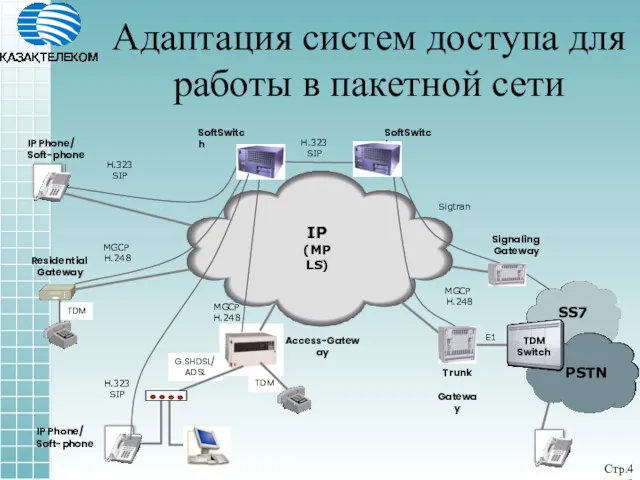 Адаптация систем доступа для работы в пакетной сети Стр.