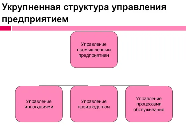 Укрупненная структура управления предприятием