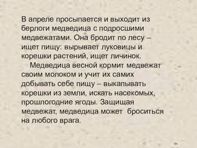 В апреле просыпается и выходит из берлоги медведица с подросшими