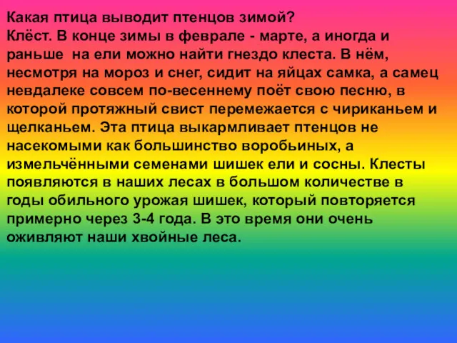 Какая птица выводит птенцов зимой? Клёст. В конце зимы в