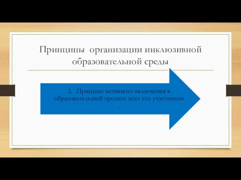 Принципы организации инклюзивной образовательной среды