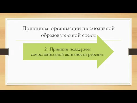 Принципы организации инклюзивной образовательной среды