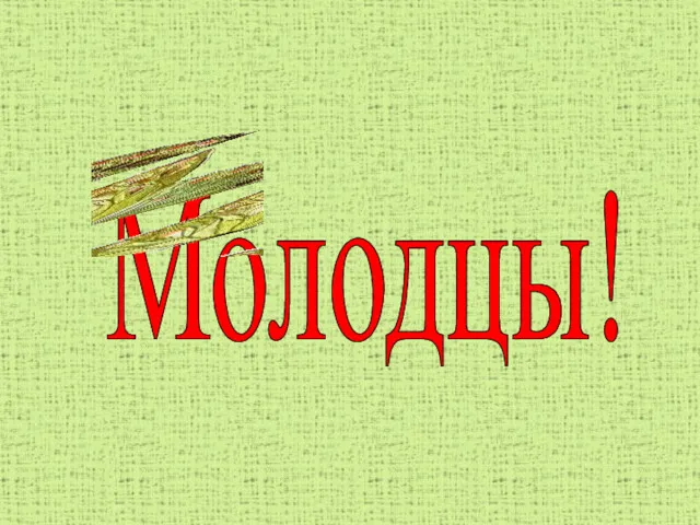 Молодцы!