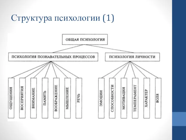 Структура психологии (1)