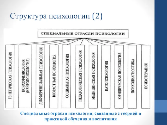 Структура психологии (2) Специальные отрасли психологии, связанные с теорией и практикой обучения и воспитания