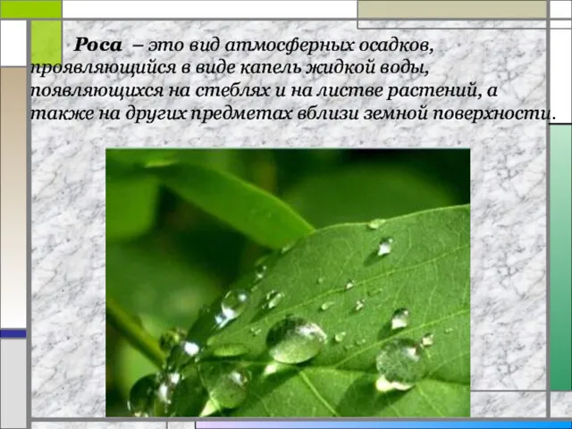 Роса – это вид атмосферных осадков, проявляющийся в виде капель