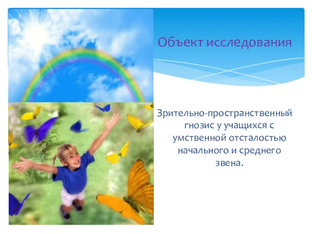 Зрительно-пространственный гнозис у учащихся с умственной отсталостью начального и среднего звена. Объект исследования